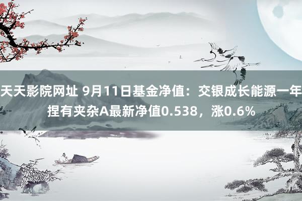 天天影院网址 9月11日基金净值:交银成长能源一年捏有夹杂A最新净值0.538,涨0.6%