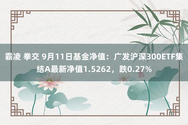 霸凌 拳交 9月11日基金净值:广发沪深300ETF集结A最新净值1.5262,跌0.27%