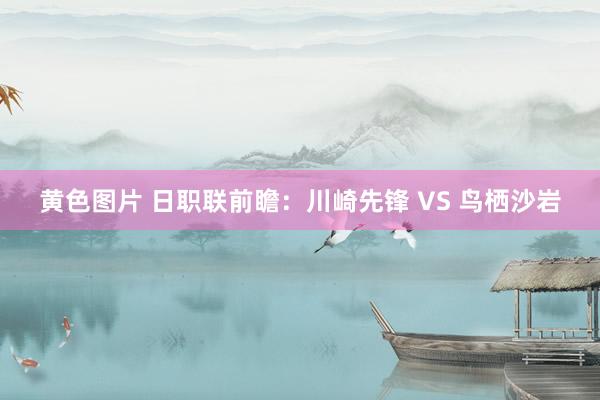 黄色图片 日职联前瞻:川崎先锋 VS 鸟栖沙岩