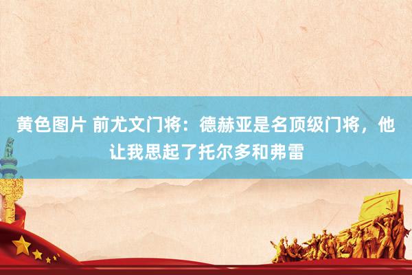 黄色图片 前尤文门将:德赫亚是名顶级门将,他让我思起了托尔多和弗雷