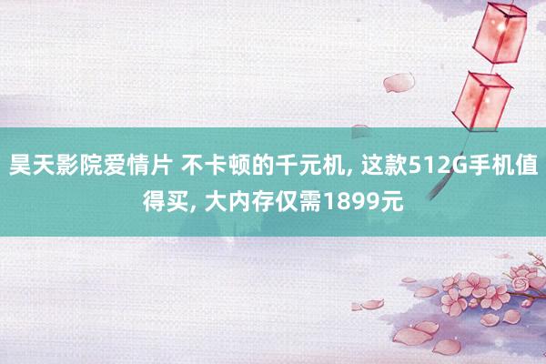 昊天影院爱情片 不卡顿的千元机, 这款512G手机值得买, 大内存仅需1899元