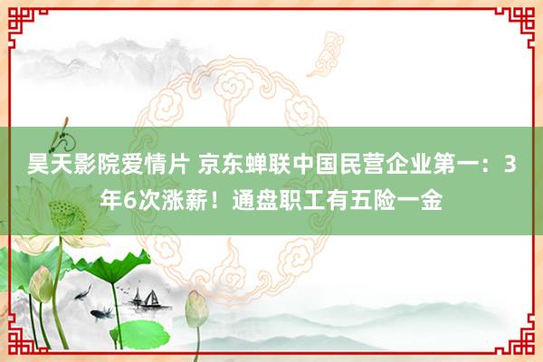 昊天影院爱情片 京东蝉联中国民营企业第一：3年6次涨薪！通盘职工有五险一金