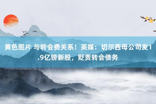 黄色图片 与转会费关系!英媒:切尔西母公司发1.9亿镑新股,贬责转会债务