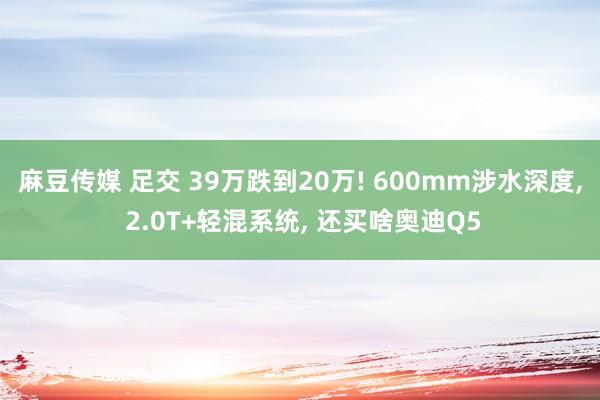麻豆传媒 足交 39万跌到20万! 600mm涉水深度， 2.0T+轻混系统， 还买啥奥迪Q5