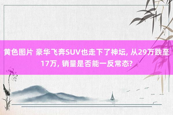 黄色图片 豪华飞奔SUV也走下了神坛， 从29万跌至17万， 销量是否能一反常态?