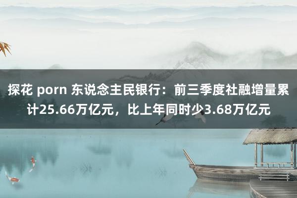 探花 porn 东说念主民银行:前三季度社融增量累计25.66万亿元,比上年同时少3.68万亿元