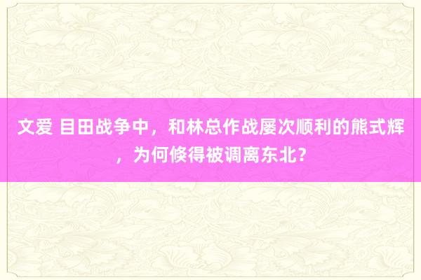 文爱 目田战争中，和林总作战屡次顺利的熊式辉，为何倏得被调离东北？