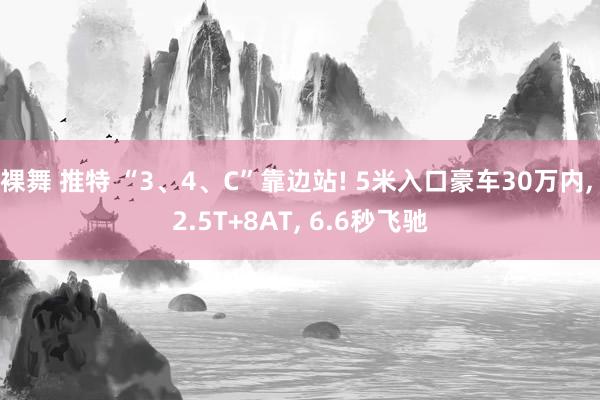 裸舞 推特 “3、4、C”靠边站! 5米入口豪车30万内, 2.5T+8AT, 6.6秒飞驰