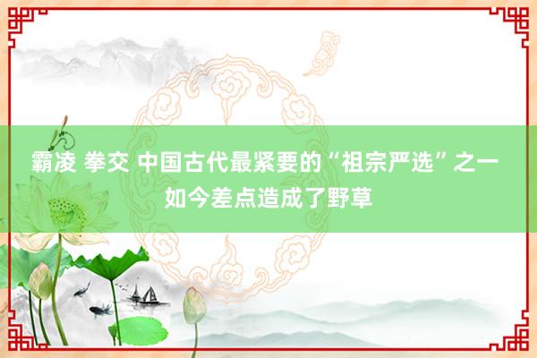 霸凌 拳交 中国古代最紧要的“祖宗严选”之一 如今差点造成了野草