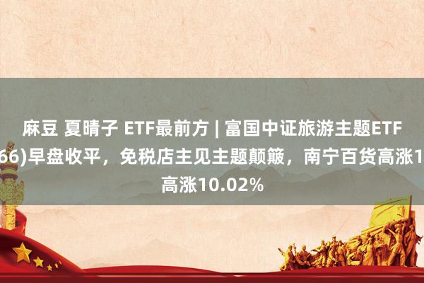 麻豆 夏晴子 ETF最前方 | 富国中证旅游主题ETF(159766)早盘收平,免税店主见主题颠簸,南宁百货高涨10.02%