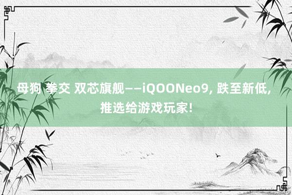 母狗 拳交 双芯旗舰——iQOONeo9， 跌至新低， 推选给游戏玩家!