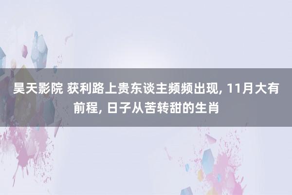 昊天影院 获利路上贵东谈主频频出现, 11月大有前程, 日子从苦转甜的生肖
