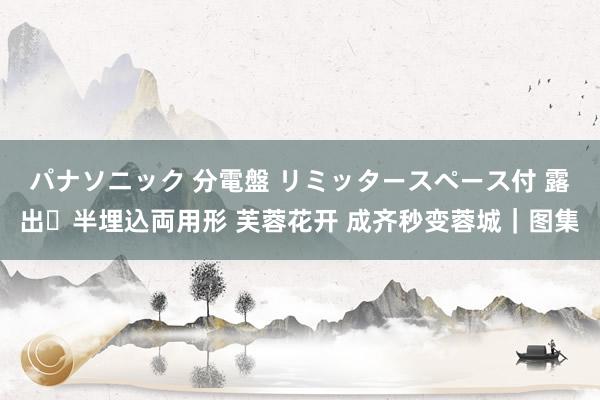 パナソニック 分電盤 リミッタースペース付 露出・半埋込両用形 芙蓉花开 成齐秒变蓉城|图集