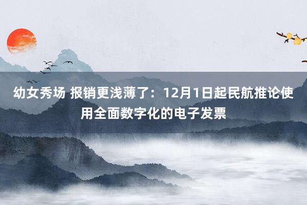 幼女秀场 报销更浅薄了:12月1日起民航推论使用全面数字化的电子发票
