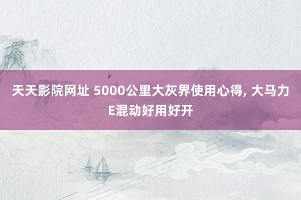 天天影院网址 5000公里大灰界使用心得， 大马力E混动好用好开