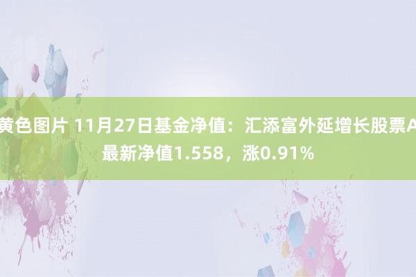 黄色图片 11月27日基金净值:汇添富外延增长股票A最新净值1.558,涨0.91%