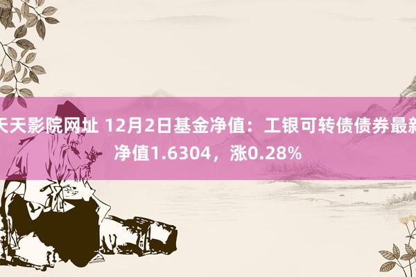 天天影院网址 12月2日基金净值:工银可转债债券最新净值1.6304,涨0.28%