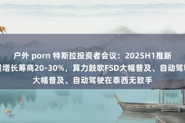 户外 porn 特斯拉投资者会议：2025H1推新车型、全年销量增长筹商20-30%，算力鼓吹FSD