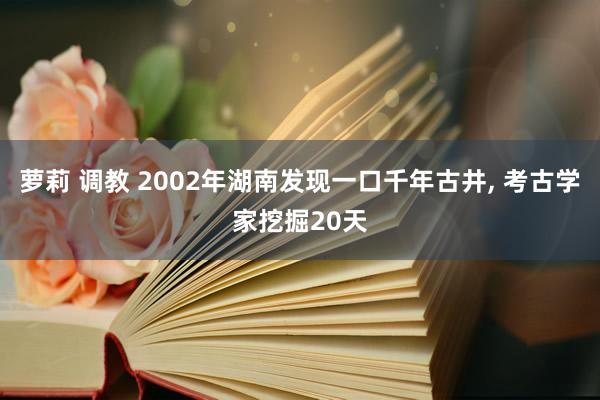 萝莉 调教 2002年湖南发现一口千年古井， 考古学家挖掘20天