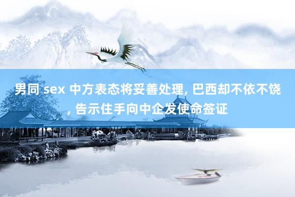 男同 sex 中方表态将妥善处理， 巴西却不依不饶， 告示住手向中企发使命签证