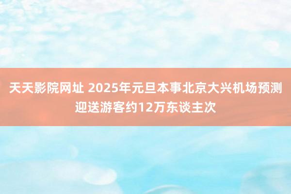 天天影院网址 2025年元旦本事北京大兴机场预测迎送游客约12万东谈主次