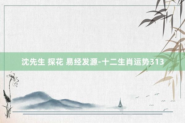 沈先生 探花 易经发源-十二生肖运势313