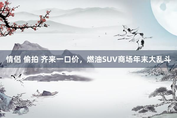 情侣 偷拍 齐来一口价，燃油SUV商场年末大乱斗