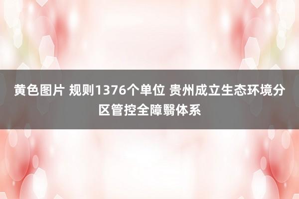 黄色图片 规则1376个单位 贵州成立生态环境分区管控全障翳体系