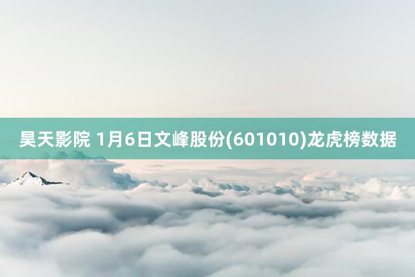 昊天影院 1月6日文峰股份(601010)龙虎榜数据