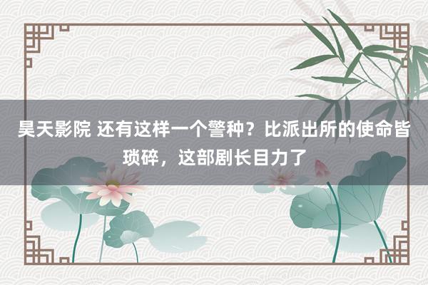 昊天影院 还有这样一个警种？比派出所的使命皆琐碎，这部剧长目力了