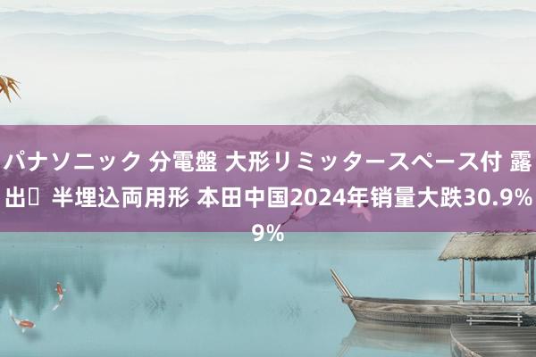 パナソニック 分電盤 大形リミッタースペース付 露出・半埋込両用形 本田中国2024年销量大跌30.9%