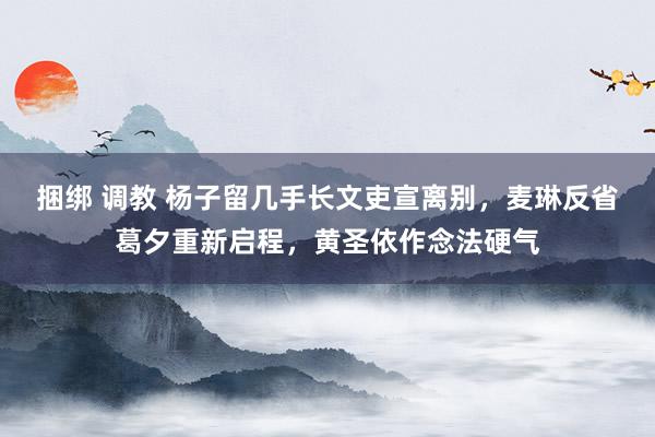 捆绑 调教 杨子留几手长文吏宣离别，麦琳反省葛夕重新启程，黄圣依作念法硬气