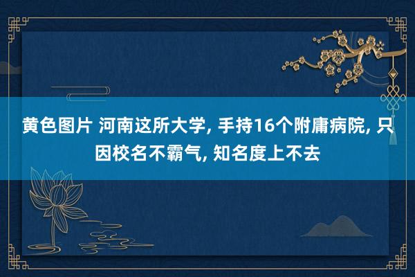 黄色图片 河南这所大学， 手持16个附庸病院， 只因校名不霸气， 知名度上不去