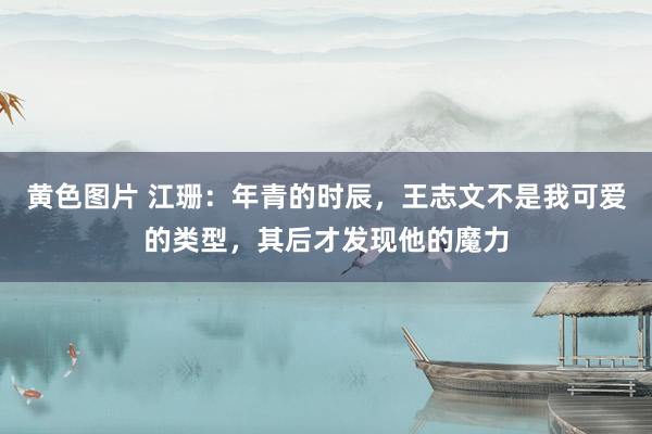 黄色图片 江珊:年青的时辰,王志文不是我可爱的类型,其后才发现他的魔力