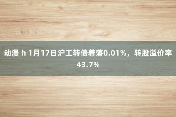 动漫 h 1月17日沪工转债着落0.01%，转股溢价率43.7%