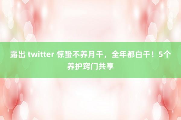 露出 twitter 惊蛰不养月干,全年都白干!5个养护窍门共享
