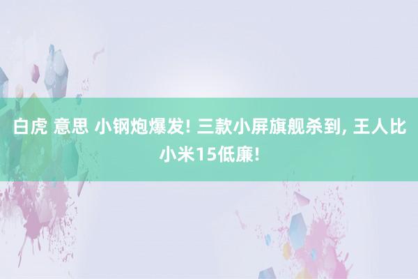 白虎 意思 小钢炮爆发! 三款小屏旗舰杀到, 王人比小米15低廉!