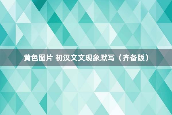 黄色图片 初汉文文现象默写（齐备版）
