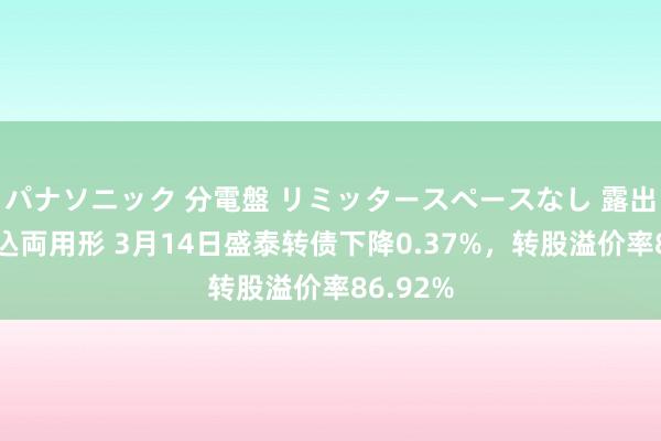 パナソニック 分電盤 リミッタースペースなし 露出・半埋込両用形 3月14日盛泰转债下降0.37%，