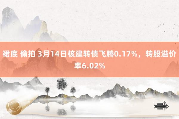 裙底 偷拍 3月14日核建转债飞腾0.17%，转股溢价率6.02%
