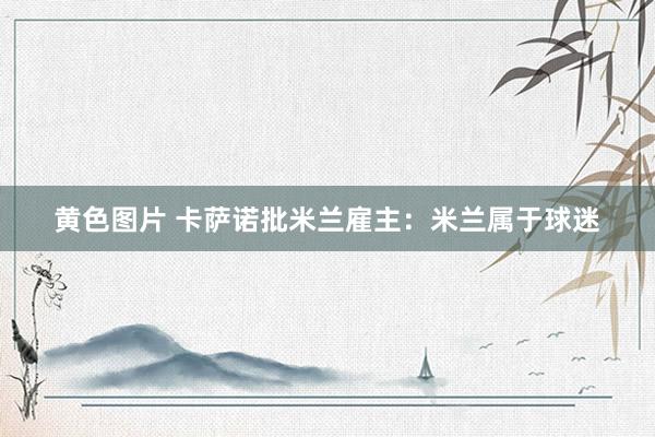 黄色图片 卡萨诺批米兰雇主：米兰属于球迷