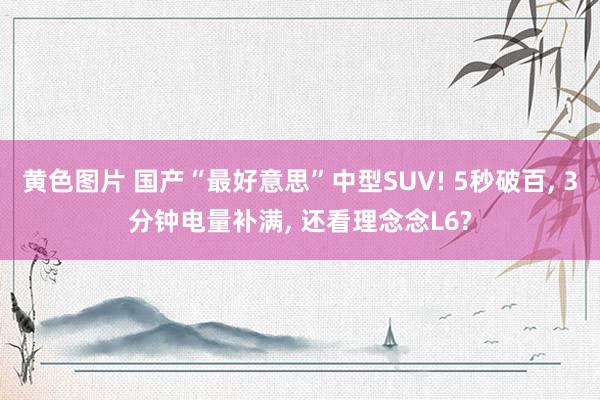 黄色图片 国产“最好意思”中型SUV! 5秒破百, 3分钟电量补满, 还看理念念L6?