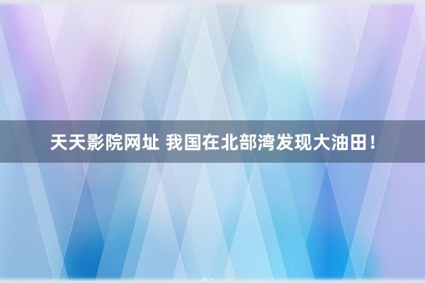 天天影院网址 我国在北部湾发现大油田！