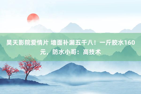 昊天影院爱情片 墙面补漏五千八！一斤胶水160元，防水小哥：高技术