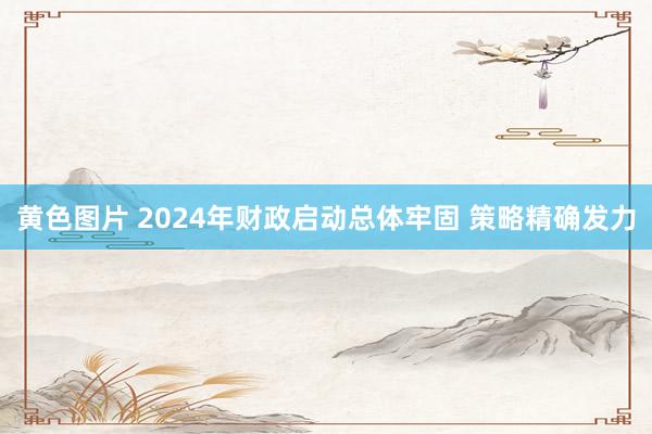 黄色图片 2024年财政启动总体牢固 策略精确发力