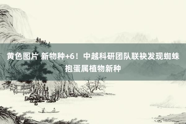 黄色图片 新物种+6！中越科研团队联袂发现蜘蛛抱蛋属植物新种
