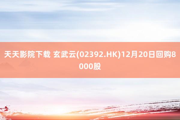 天天影院下载 玄武云(02392.HK)12月20日回购8000股