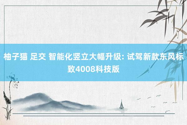 柚子猫 足交 智能化竖立大幅升级: 试驾新款东风标致4008科技版