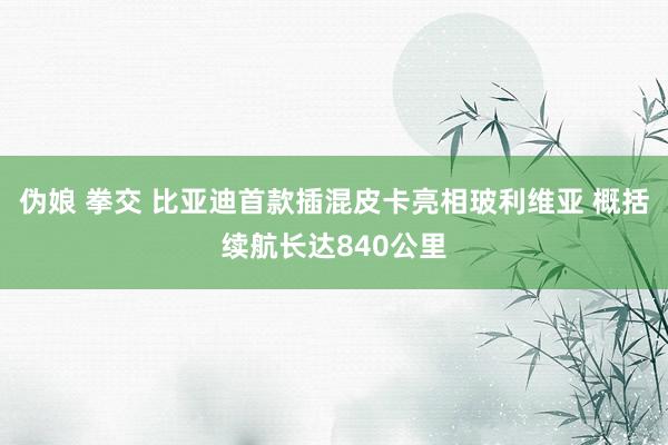 伪娘 拳交 比亚迪首款插混皮卡亮相玻利维亚 概括续航长达840公里