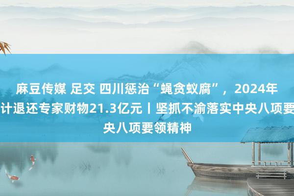 麻豆传媒 足交 四川惩治“蝇贪蚁腐”，2024年以来累计退还专家财物21.3亿元丨坚抓不渝落实中央八